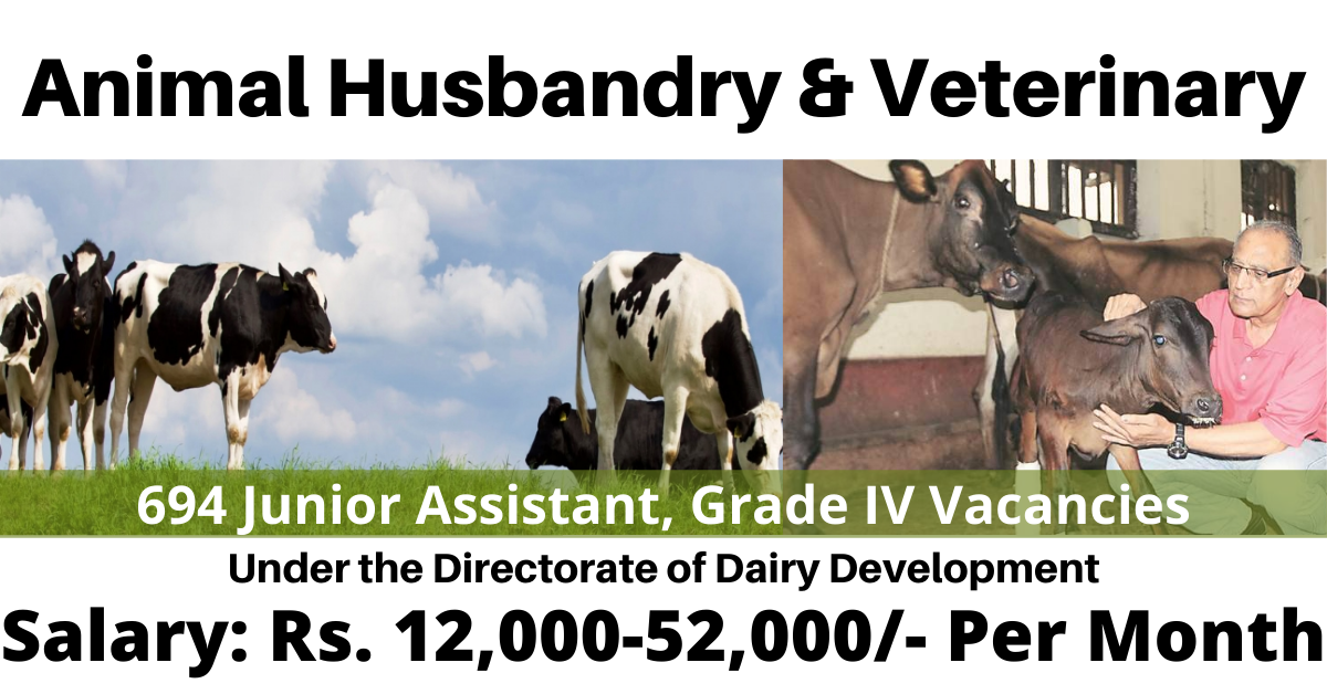 Animal Husbandry & Veterinary Recruitment 2021 - Apply Online for 694  Junior Assistant, Electrician Posts @ 
