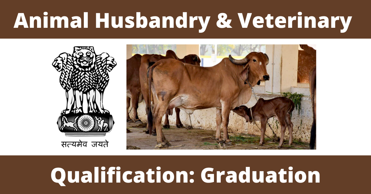 Animal Husbandry & Veterinary Recruitment 2023 Apply online for Animal  Husbandry & Veterinary Job vacancies at 